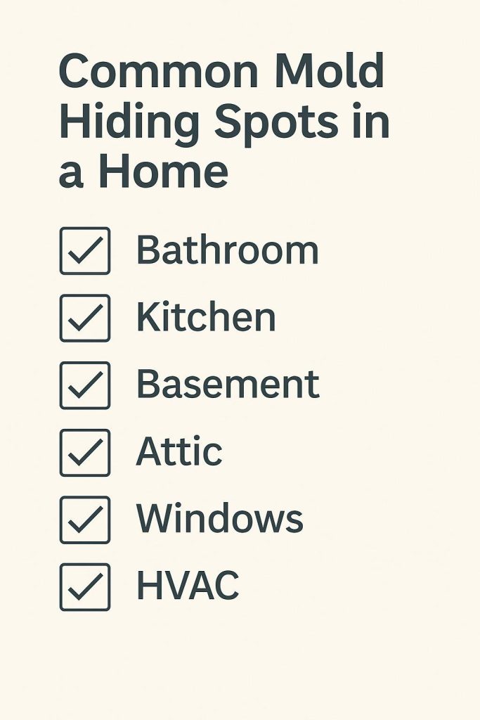 Checklist infographic listing common mold hiding spots in a home: bathroom, kitchen, basement, attic, windows, HVAC.